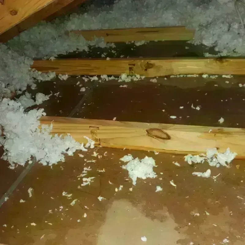 Attic Water Damage in Morton, IL