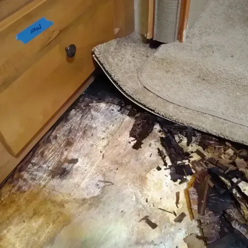 Best Wood Floor Water Damage Service in Morton, IL